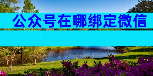 公众号在哪绑定微信