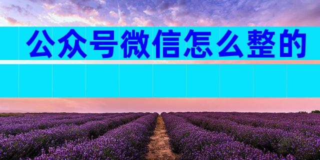 公众号微信怎么整的