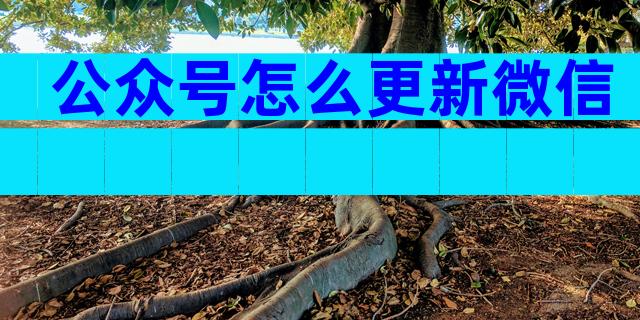公众号怎么更新微信
