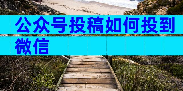 公众号投稿如何投到微信