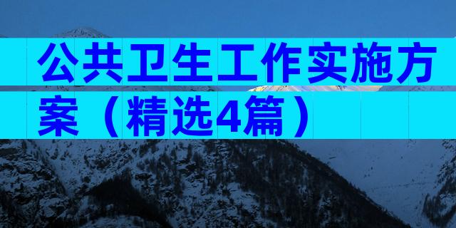 公共卫生工作实施方案（精选4篇）
