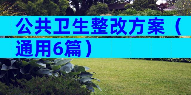 公共卫生整改方案（通用6篇）