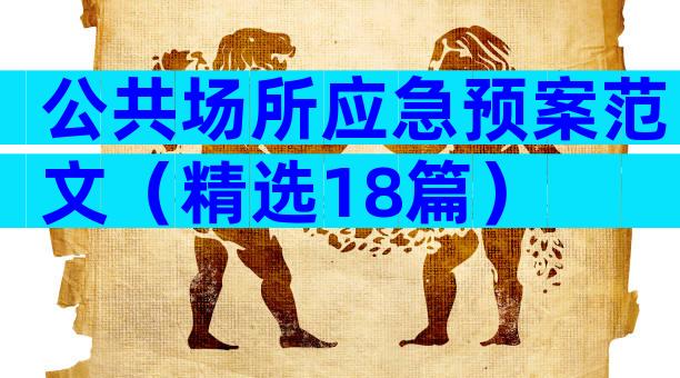 公共场所应急预案范文（精选18篇）