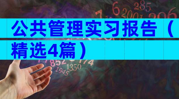 公共管理实习报告（精选4篇）