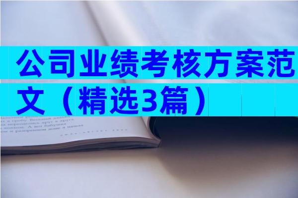 公司业绩考核方案范文（精选3篇）