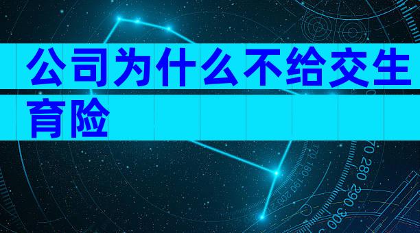 公司为什么不给交生育险