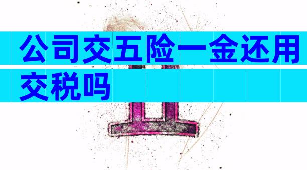 公司交五险一金还用交税吗