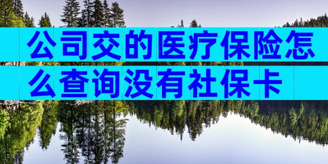 公司交的医疗保险怎么查询没有社保卡