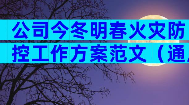公司今冬明春火灾防控工作方案范文（通用28篇）