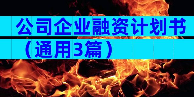 公司企业融资计划书（通用3篇）