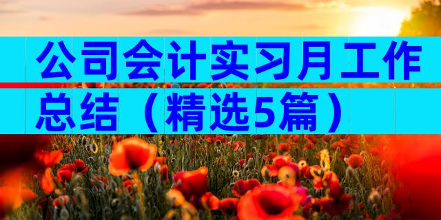 公司会计实习月工作总结（精选5篇）