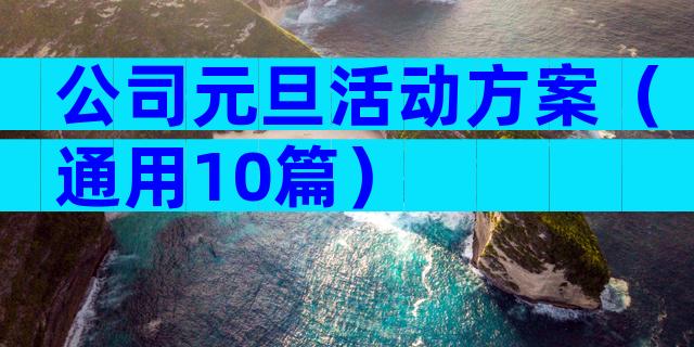 公司元旦活动方案（通用10篇）