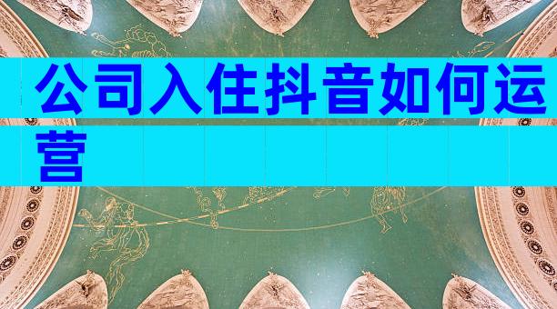 公司入住抖音如何运营