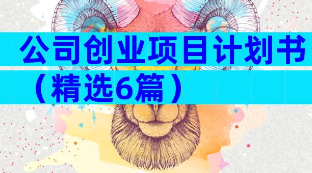 公司创业项目计划书（精选6篇）