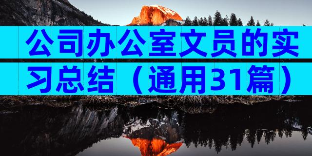 公司办公室文员的实习总结（通用31篇）