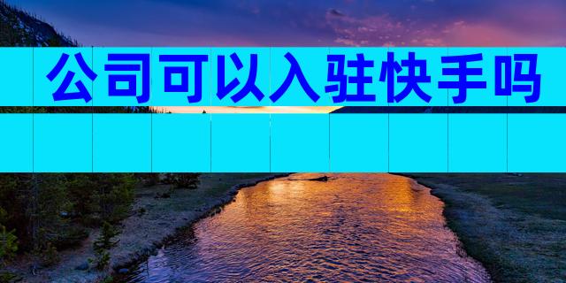 公司可以入驻快手吗