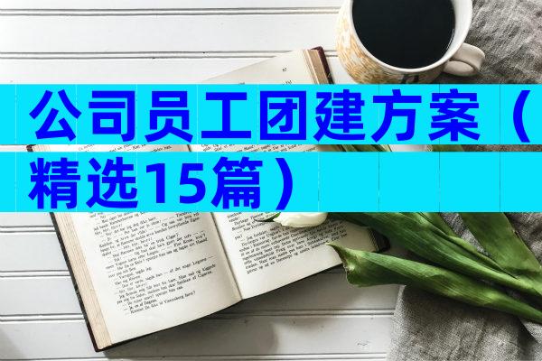 公司员工团建方案（精选15篇）