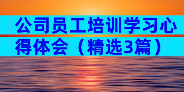 公司员工培训学习心得体会（精选3篇）