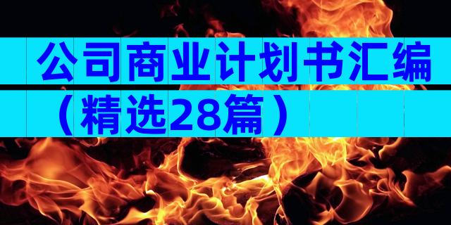 公司商业计划书汇编（精选28篇）