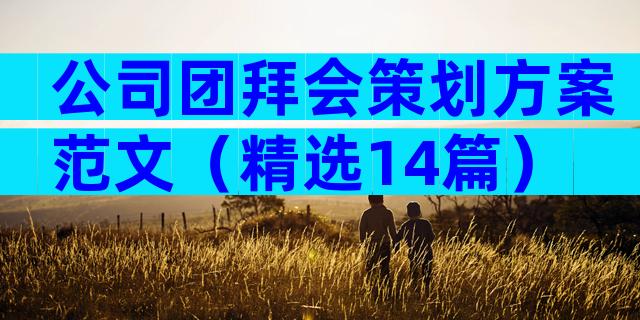 公司团拜会策划方案范文（精选14篇）