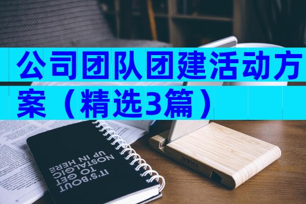 公司团队团建活动方案（精选3篇）