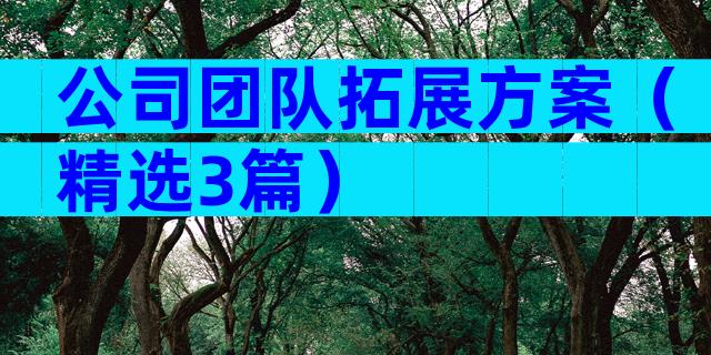 公司团队拓展方案（精选3篇）
