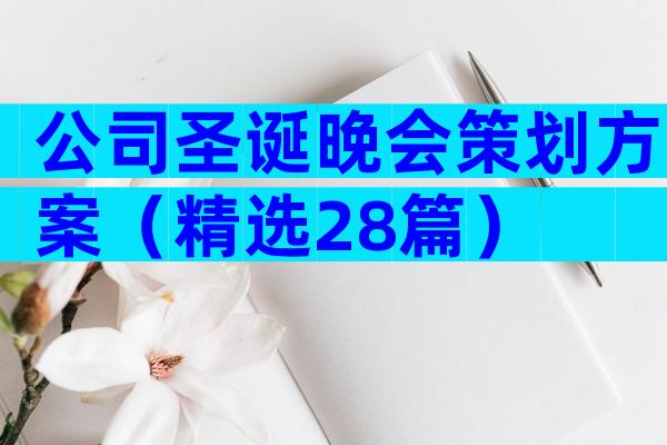 公司圣诞晚会策划方案（精选28篇）