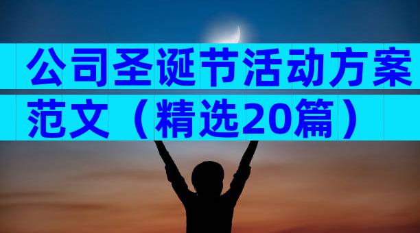 公司圣诞节活动方案范文（精选20篇）