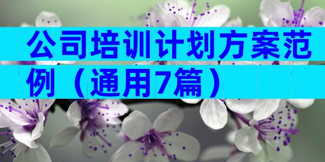 公司培训计划方案范例（通用7篇）