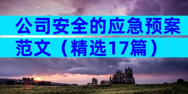 公司安全的应急预案范文（精选17篇）