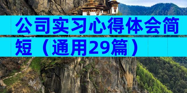 公司实习心得体会简短（通用29篇）