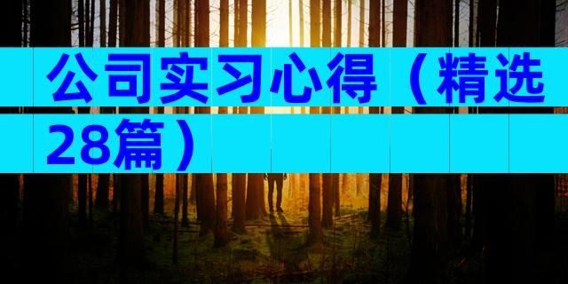 公司实习心得（精选28篇）