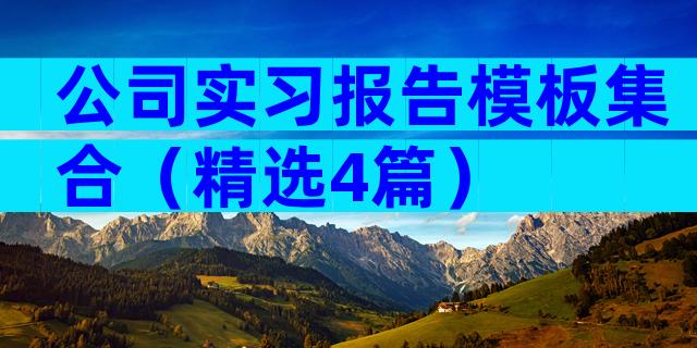 公司实习报告模板集合（精选4篇）