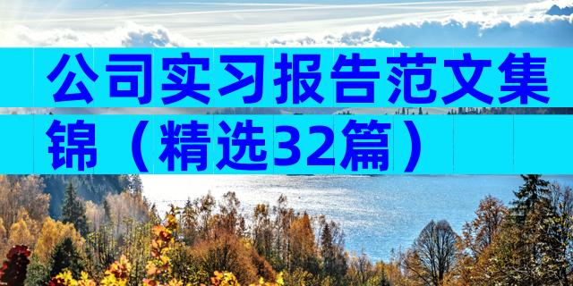 公司实习报告范文集锦（精选32篇）