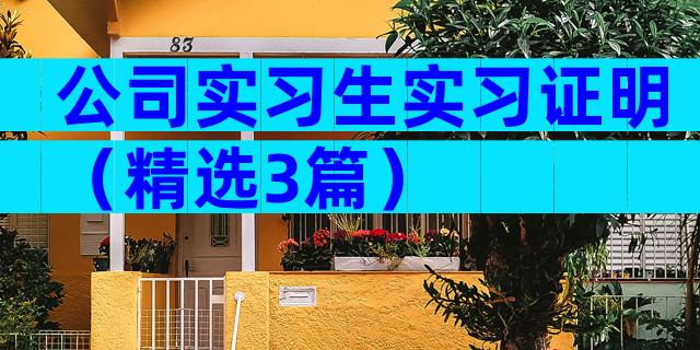 公司实习生实习证明（精选3篇）