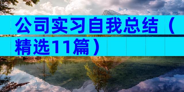 公司实习自我总结（精选11篇）