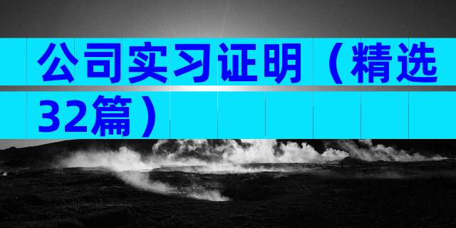 公司实习证明（精选32篇）