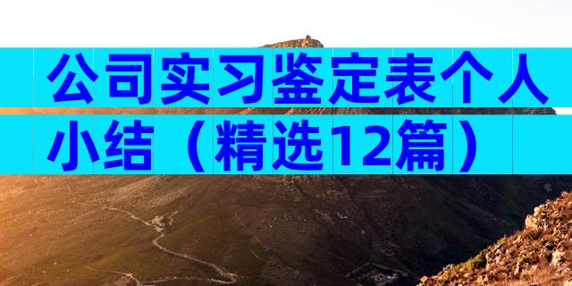 公司实习鉴定表个人小结（精选12篇）