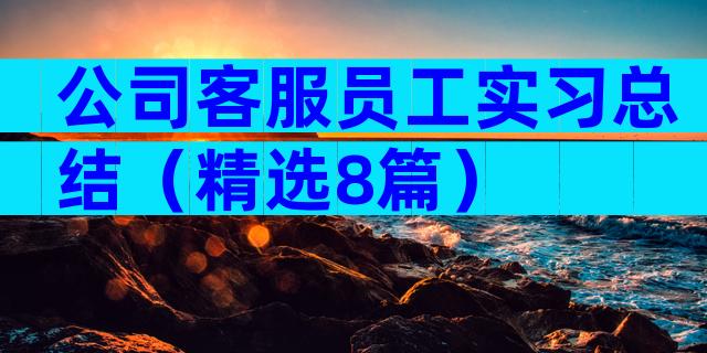 公司客服员工实习总结（精选8篇）