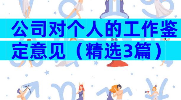 公司对个人的工作鉴定意见（精选3篇）