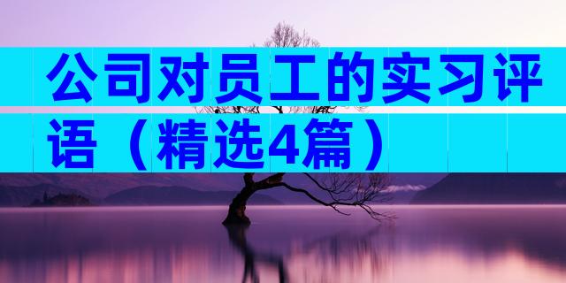 公司对员工的实习评语（精选4篇）