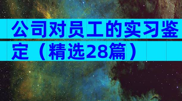 公司对员工的实习鉴定（精选28篇）