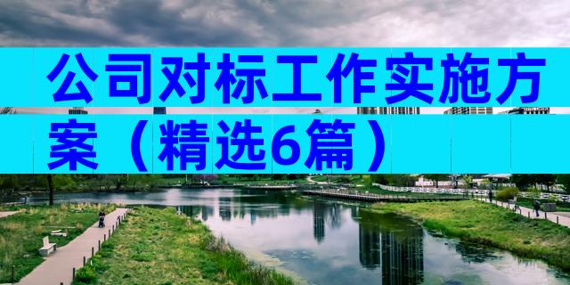 公司对标工作实施方案（精选6篇）