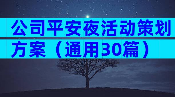 公司平安夜活动策划方案（通用30篇）