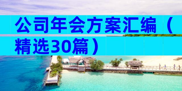 公司年会方案汇编（精选30篇）
