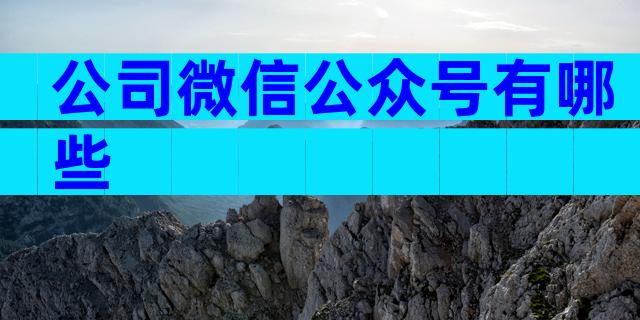 公司微信公众号有哪些