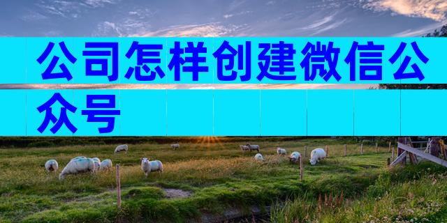 公司怎样创建微信公众号