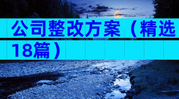 公司整改方案（精选18篇）