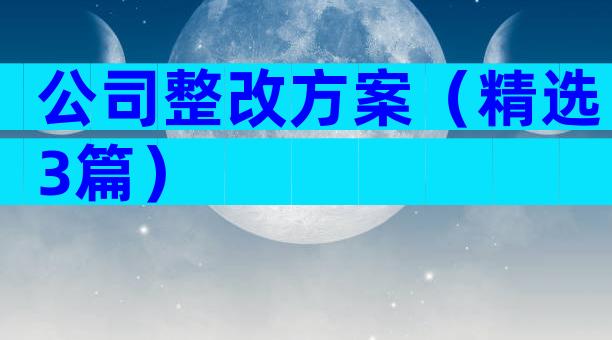 公司整改方案（精选3篇）
