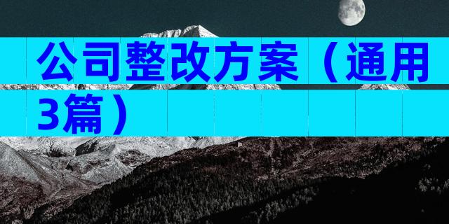 公司整改方案（通用3篇）